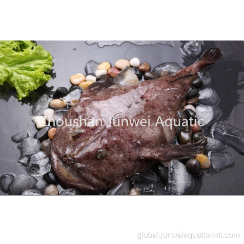 Good Sale Monkfish for Market Good fresh frozen monkfish Factory